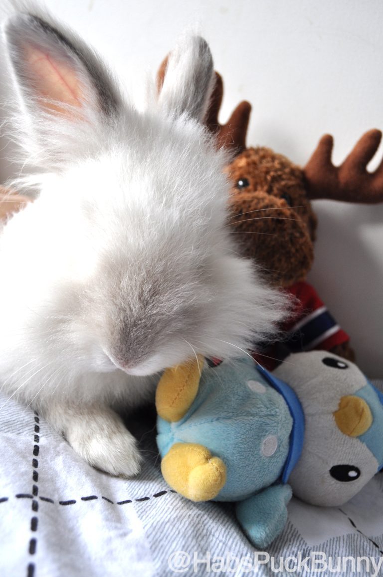 Puck the Bunny Predicts: Canadiens vs Penguins