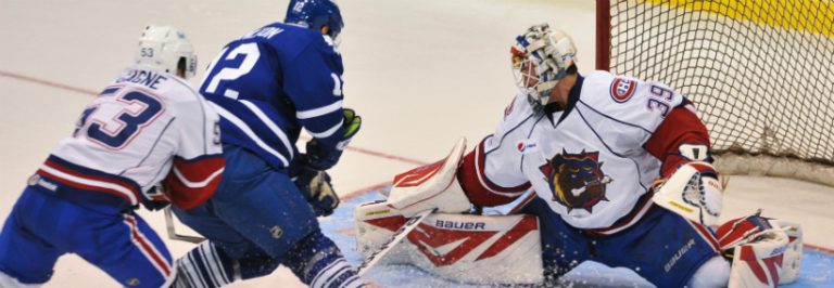 Bulldogs vs Marlies Broadcast on Sportsnet, Hockey Party