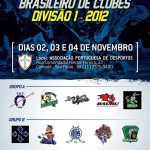 campeonato brasileiro divisao um