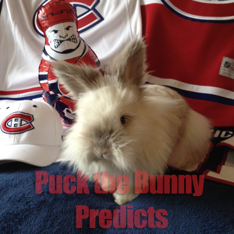 Puck the Bunny Predicts: Montreal Canadiens vs Washington Capitals