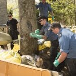 Sandbagging in Montreal