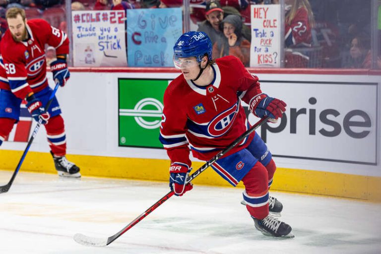 Setting Priorities | Habs Feature